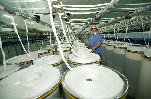 村头工厂助山东即墨就业，小帽子织出大民生